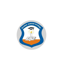 Home Icon